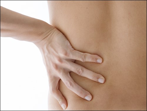 腰の部分の写真